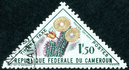 CAMEROON - CIRCA 1963: A stamp printed in Cameroon, shows a flower of the Hoodia gordonii, circa 1963のeditorial素材