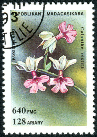 MADAGASCAR - CIRCA 1993: A stamp printed in Madagascar, shows the flower Calanthe vestita, circa 1993のeditorial素材