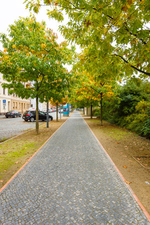 COTTBUS, GERMANY - OCTOBER 18, 2016: Autumn Street. Cottbus is a university and the second-largest city in federal state of Brandenburg.のeditorial素材