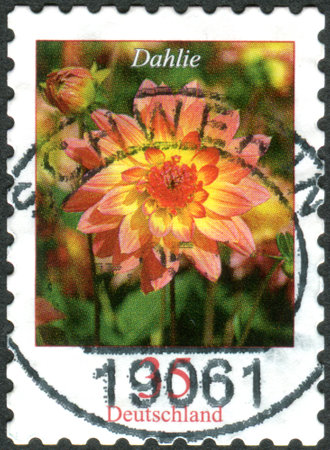 GERMANY - CIRCA 2006: A stamp printed in Germany, shows a flower Dahlia, circa 2006のeditorial素材