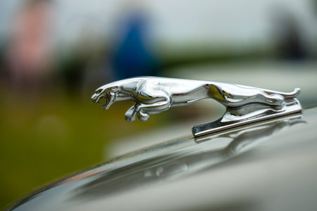 PAAREN IM GLIEN, GERMANY - JUNE 03, 2017: Hood ornament of the sports car Jaguar (Jaguar in the jump), closeup. Exhibition "Die Oldtimer Show".のeditorial素材