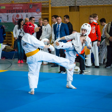 BERLIN - MARCH 18, 2017: Fighters on the mat. European championship Kyokushin World Union (KWU) for Children and Youth.のeditorial素材