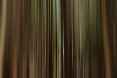 The abstract colored striped background. Motion blur.の写真素材