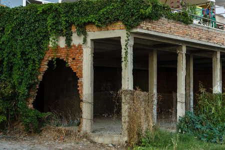 Fragment of a dilapidated building. The stems of ivy twist the walls.
