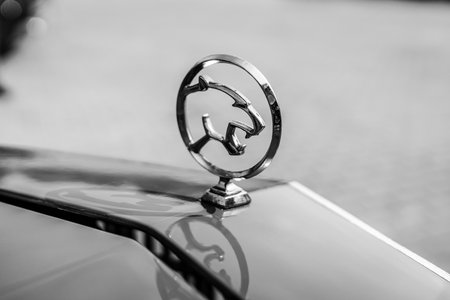 PAAREN IM GLIEN, GERMANY - MAY 19, 2018: Hood ornament of the personal luxury car Mercury Cougar XR-7. Black and white. Die Oldtimer Show 2018.のeditorial素材