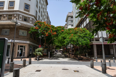 SANTA CRUZ, CANARY ISLANDS, SPAIN - JULY 28, 2018: Shopping streets in the historic part of the city. Santa Cruz is the capital city of Tenerife.のeditorial素材