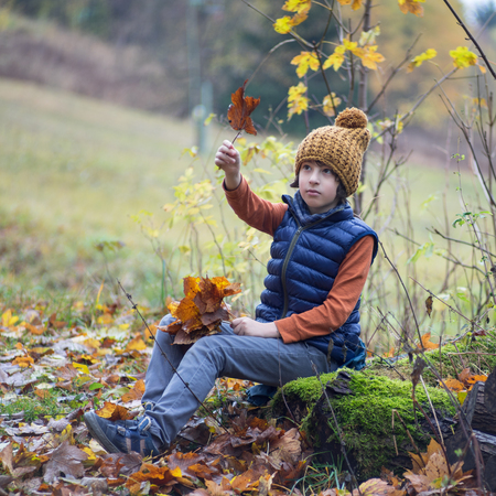 Portrait of a boy with fallen leaves in his hands.の写真素材