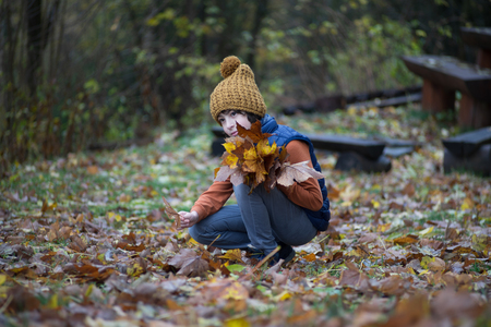 The boy collects fallen leaves.の写真素材
