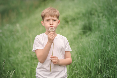 Portrait of a beautiful boy with dandelions.の写真素材