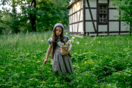 The girl in a dress in retro style with white dandelions and a clay pot amid typical architecture and buildings of old Germany (Timber framing).の写真素材