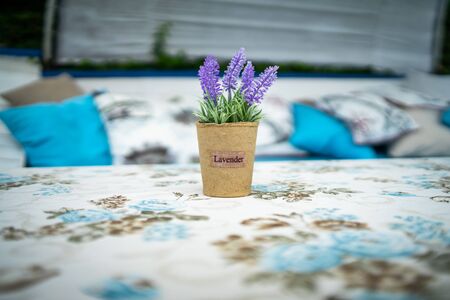 A pot of lavender as a table decoration in an outdoor cafe. Shallow depth of field.