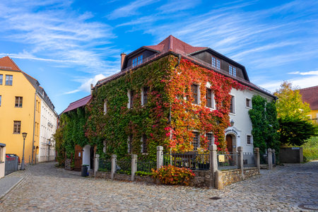 BAUTZEN, GERMANY - OCTOBER 10, 2019: Beautiful streets of the historical part of the old town in a fall day. A house twined with ivy.のeditorial素材
