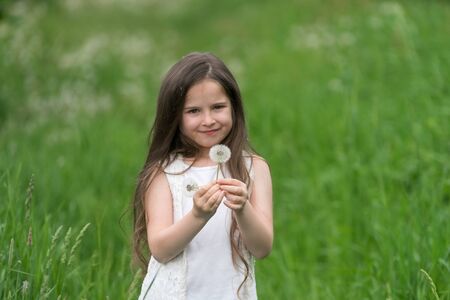 Portrait of a beautiful little girl with dandelions.の写真素材