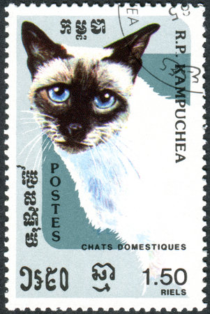 KAMPUCHEA - CIRCA 1985: A stamp printed in Kampuchea (Cambodia), depicted the Seal-Point Siam (Felis silvestris catus), circa 1985のeditorial素材
