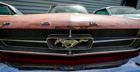 BERLIN - MAY 05, 2018: Detail of sports car Ford Mustang (first generation), close-up.のeditorial素材