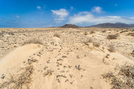 Deserted sandy expanses of the Jandia Peninsula. Fuerteventura. Canary Islands. Spain.の写真素材