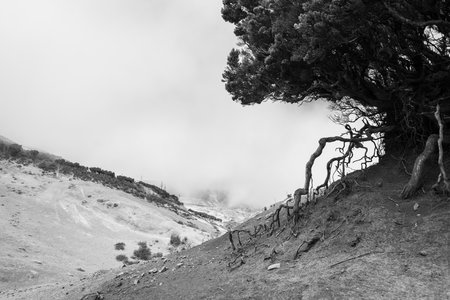 "Lunar landscape" on the Teno Upland (Paisaje Lunar En Teno Alto). Tenerife. Canary Islands. Spain. Black and white.の写真素材