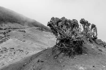 "Lunar landscape" on the Teno Upland (Paisaje Lunar En Teno Alto). Tenerife. Canary Islands. Spain. Black and white.の写真素材