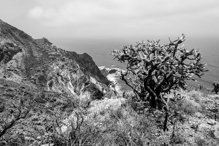 Landscape of the northern part of the island. Rocky coast, Atlantic Ocean. Black and white. Tenerife. Canary Islands. Spain.の写真素材