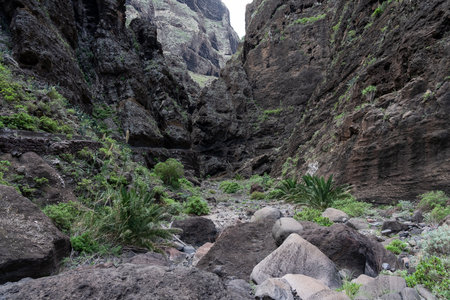 Landscape of Masca gorge. Tenerife. Canary Islands. Spain.の写真素材