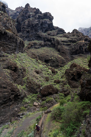 Landscape of Masca gorge. Tenerife. Canary Islands. Spain.の写真素材
