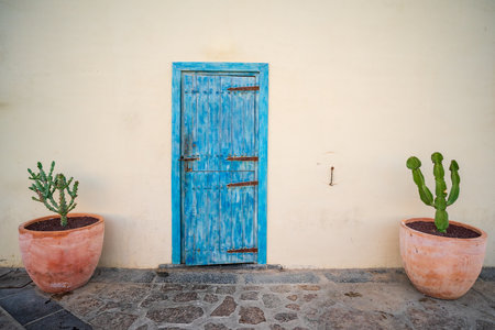 An old and blue painted wooden front door and two large pots of cacti. Background.の写真素材