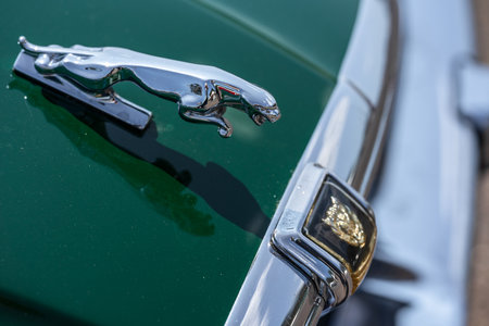 LINTHE, GERMANY - MAY 27, 2023: The hood ornament of the sports car Jaguar (Jaguar in the jump), close-up. Die Oldtimer Show 2023.のeditorial素材
