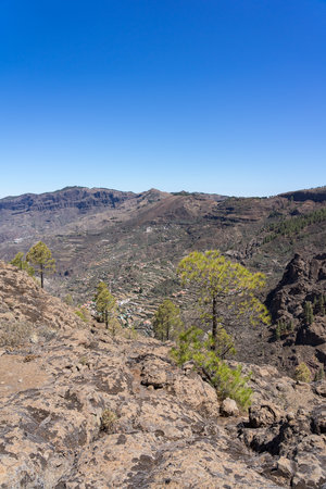 Typical mountain landscape in the central part of the island. Gran Canaria. Canary Islands. Spain.の写真素材