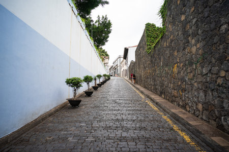 Historic cobblestone street with stone walls and potted trees.の写真素材