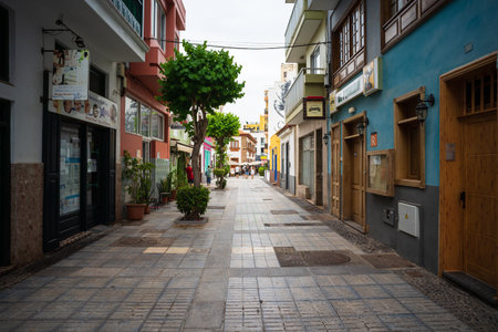 PUERTO DE LA CRUZ, SPAIN - AUGUST 2, 2025: Pedestrian street with shops, trimmed trees and people in distance in coastal town center. Tenerife, Canary Islands, Spain.のeditorial素材
