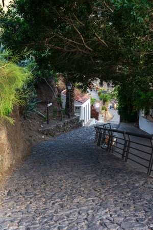 MASCA, TENERIFE - AUGUST 5, 2025: Steep cobblestone path with railing, stone walls and small white houses under dense tree canopy, Canary Islands.のeditorial素材