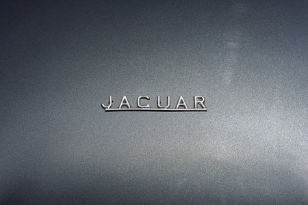 LINTHE, GERMANY - JUNE 08, 2025: Jaguar Mark 2, 1959â€“1967, close-up of bonnet...
