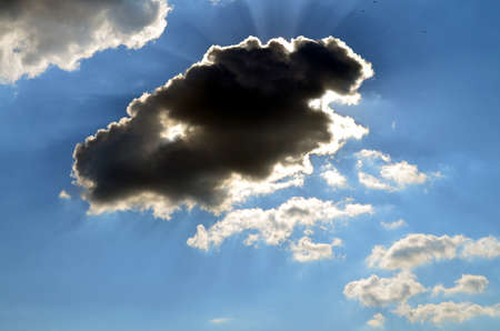 cloud at a shiny day in summer, blue sky
