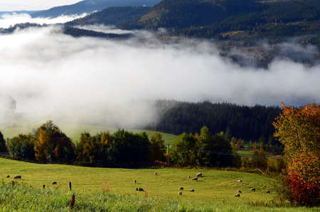 cold morning fog in an autumn landscape norwayの写真素材
