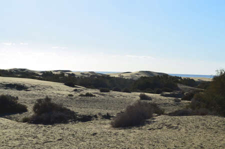 Sand dunes at the coast of Gran Canaria with clear blue skyの写真素材