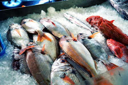 fresh fish on ice at the marked