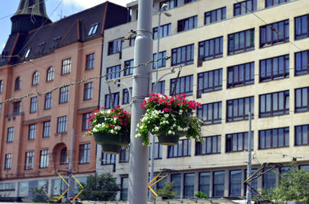 hanging flower pot at the street in czech republicの写真素材