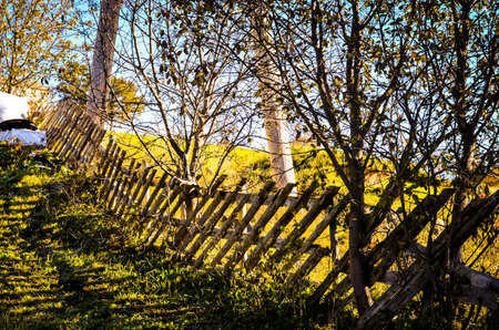 crooked wooden fence in autumn sunlight on meadowの写真素材