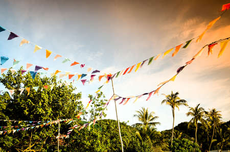 Colored flags hanging at tropical beach with coconut palmtrees