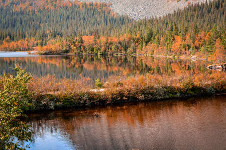Outdoor landscape of Norway in beautiful autumn coloursの写真素材