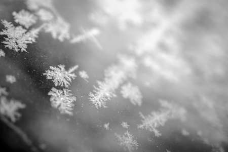 ice crystals in black and white macroの写真素材