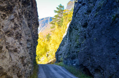 countryroad in autumnal mountain landscape, central norwayの写真素材
