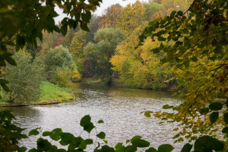 The photo depicts the landscape of the autumn pondの写真素材