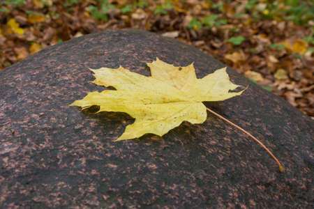Pictured Reserve Abramtsevo, the stone is in the reserve.の写真素材