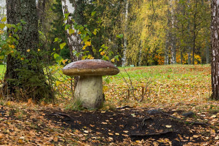Pictured Reserve Abramtsevo, the fungus is in the reserve.の写真素材
