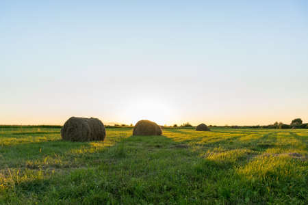 Sheaf of hay on the field at sunset, Tambov region, summer, sunset, eveningの写真素材