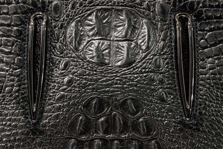 the texture of the skin is gray, Studio, still life photography