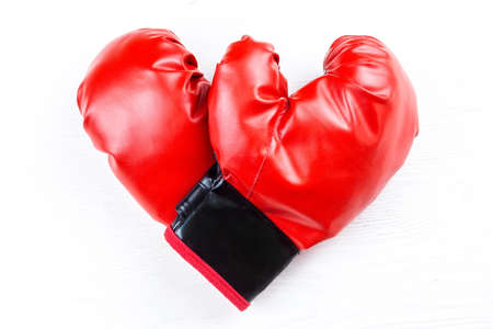 boxing gloves and paw on white backgroundの写真素材