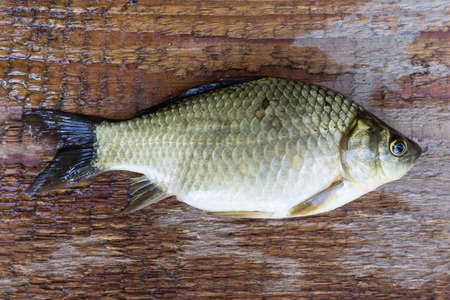 carp on a wooden background, good fishingの写真素材