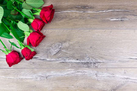 red rose on a gray backgroundの写真素材